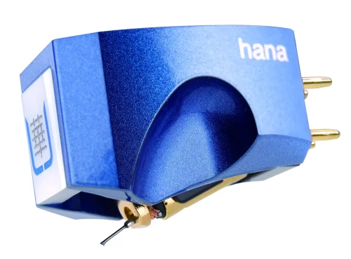 hana_umami_blue.webp